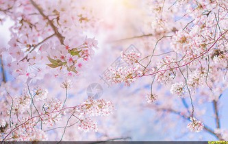 凯发K8官网下载客户端 手动挡离合器片多久换一次多少钱(手动挡车离合器片多久换一次)