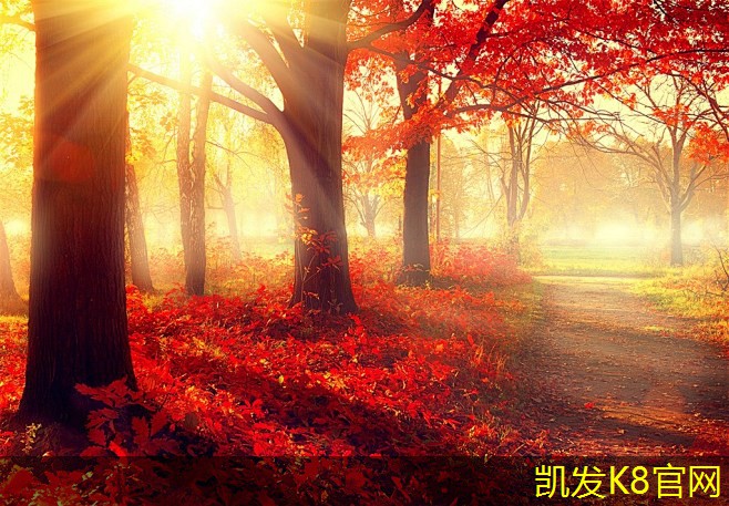 货车离合器片多久换一次多少钱(货车离合器片坏了症状要换是多少钱)