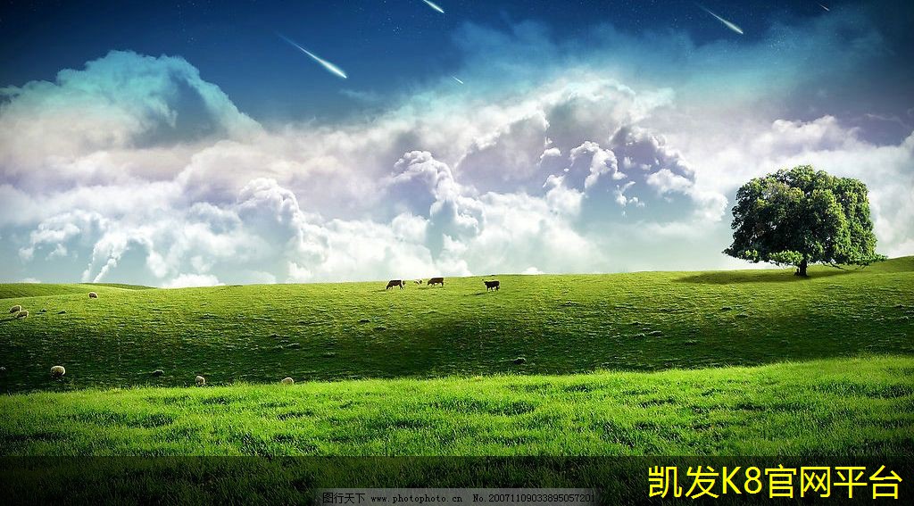 轻卡离合器片多久换一次合适(轻卡离合器片多久更换)