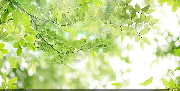 汽车离合器坏了的表现挂档难挂正常吗(汽车离合器坏了怎么办)