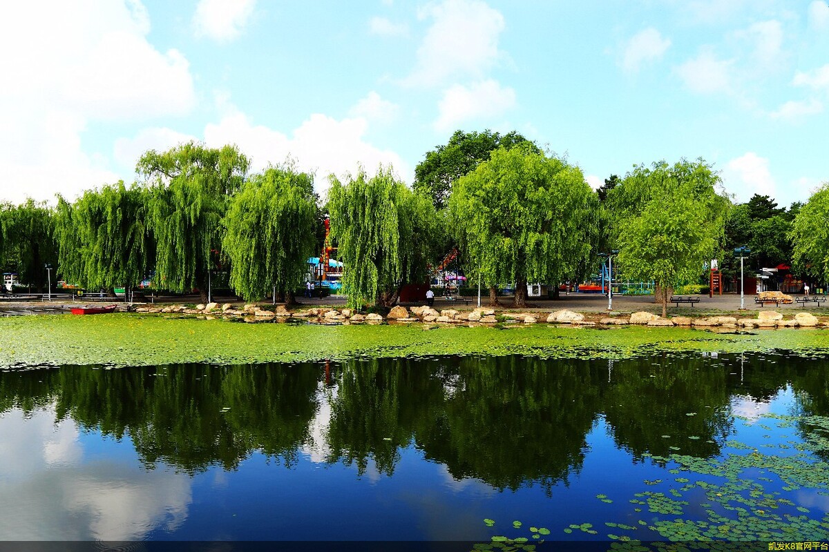 离合踏板作用是什么 简单回答(离合踏板的原理)