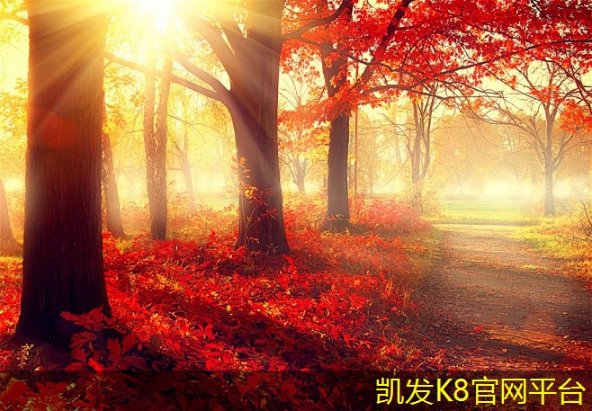 货车离合器片多久换一次多少钱(货车离合器片坏了症状要换是多少钱)