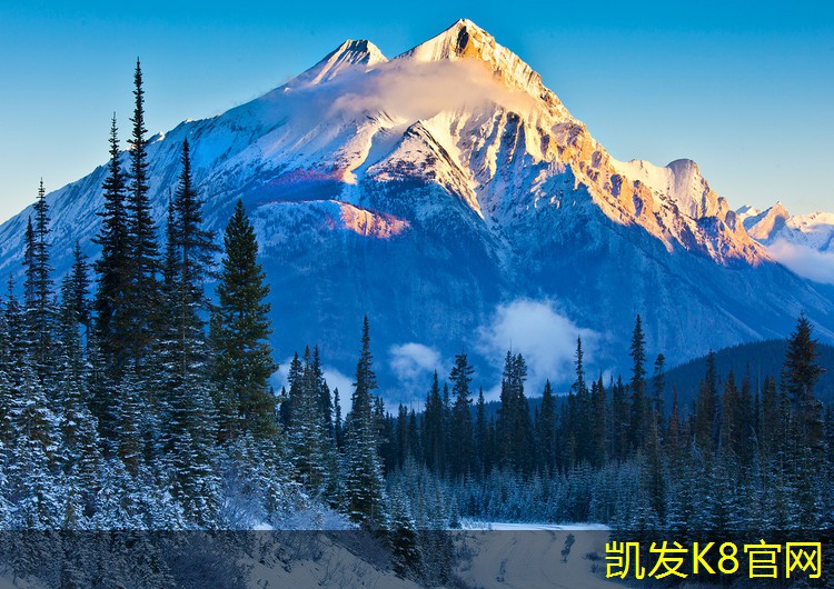 货车离合器片多久换一次比较好(小型货车离合器片多久更换一次)