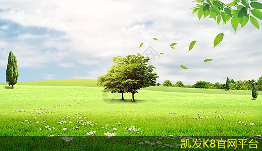 货车离合器片多久换一次比较好(小型货车离合器片多久更换一次)