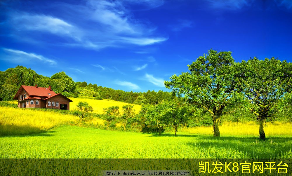 轻卡离合器片多久换一次比较好(轻卡的离合器片一般多久更换)