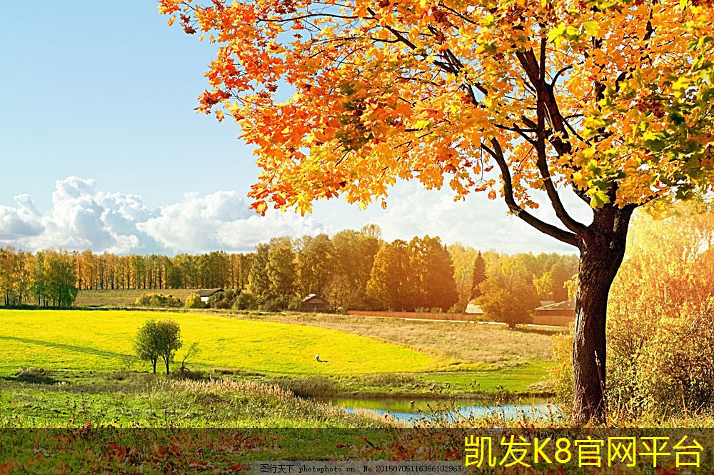 轻卡车离合器片换一次多少钱